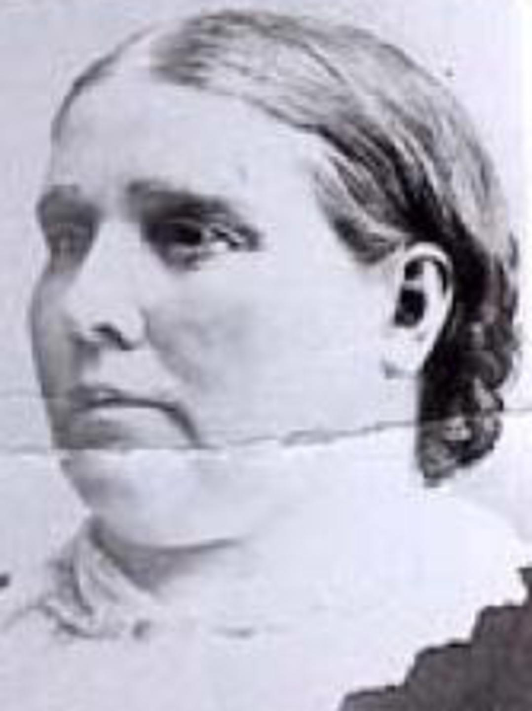 Mary Lucretia Willis (1837 - 1912) Profile